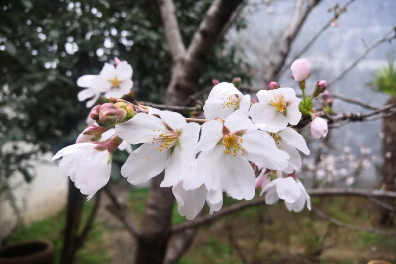 祭奠（图2）
