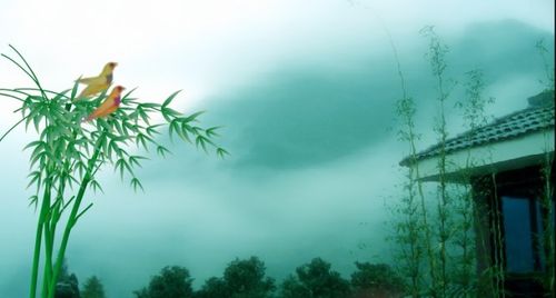 【经典推荐】张建国//云水情深（图3）