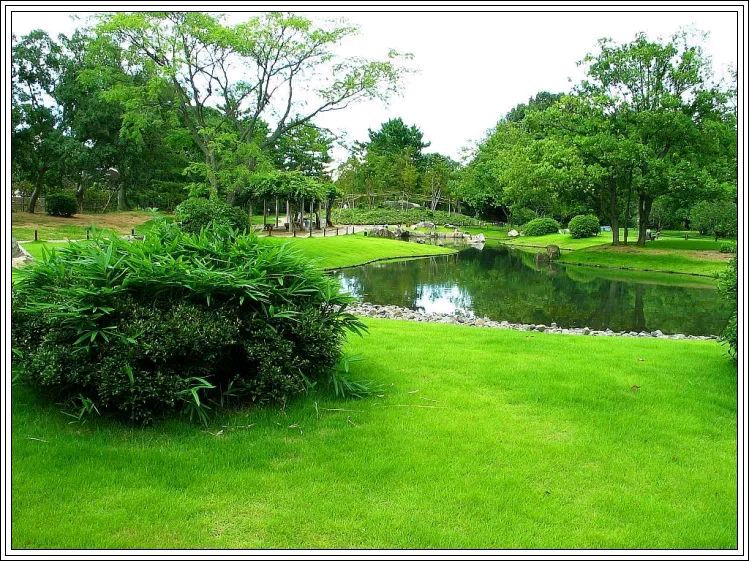 藏头诗:亲近自然享受春天 文/王俊杰(天津)（图3）