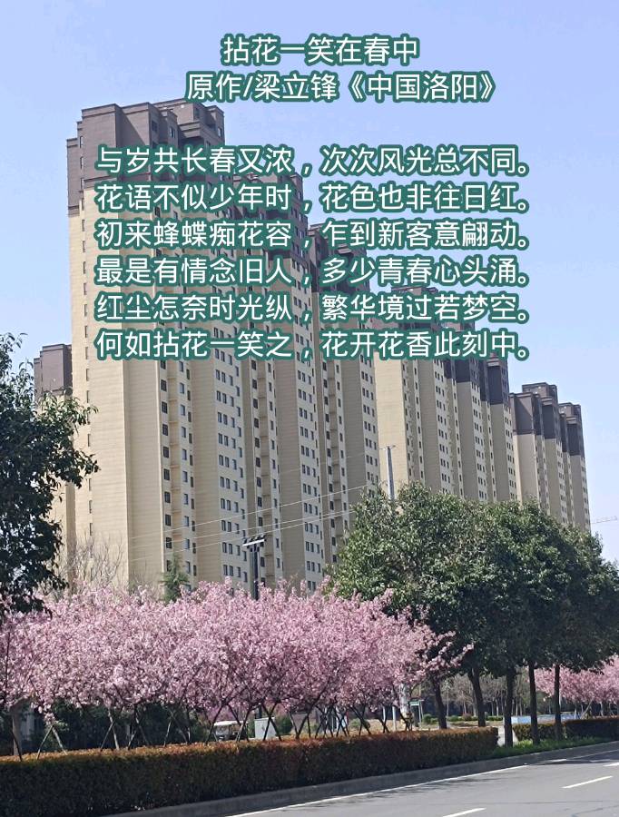 拈花一笑在春中 原作/梁立锋（图2）