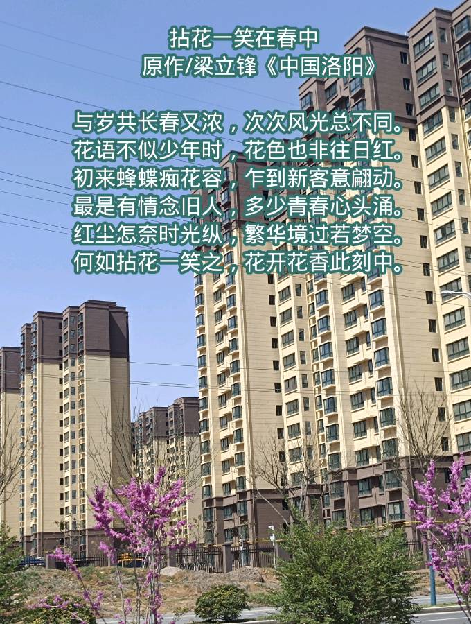拈花一笑在春中 原作/梁立锋