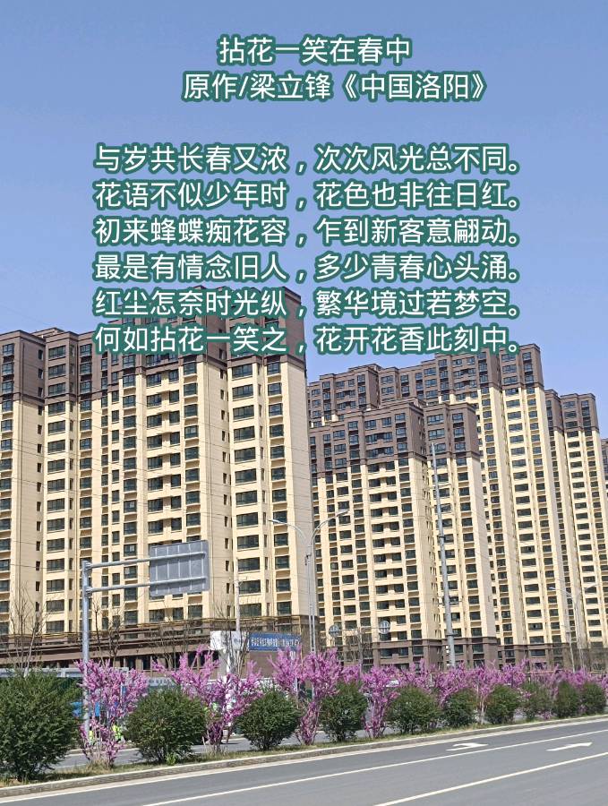 拈花一笑在春中 原作/梁立锋（图5）