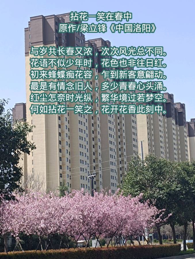 拈花一笑在春中 原作/梁立锋（图3）