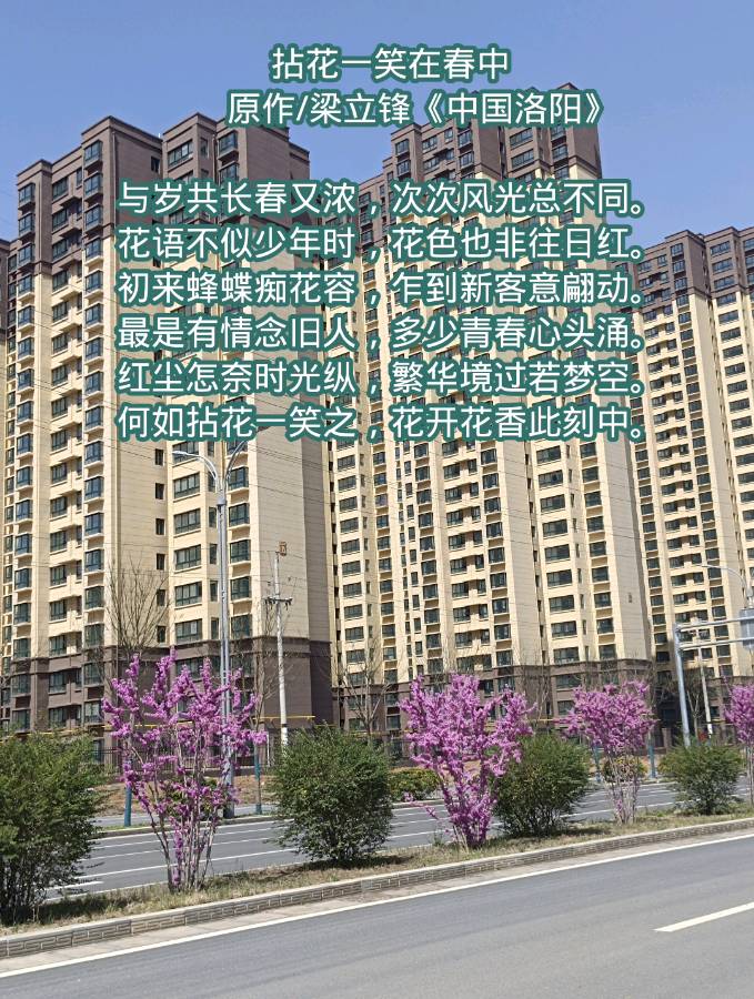 拈花一笑在春中 原作/梁立锋（图9）