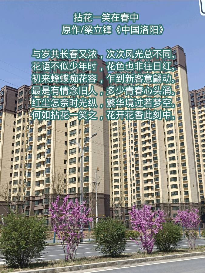 拈花一笑在春中 原作/梁立锋（图8）