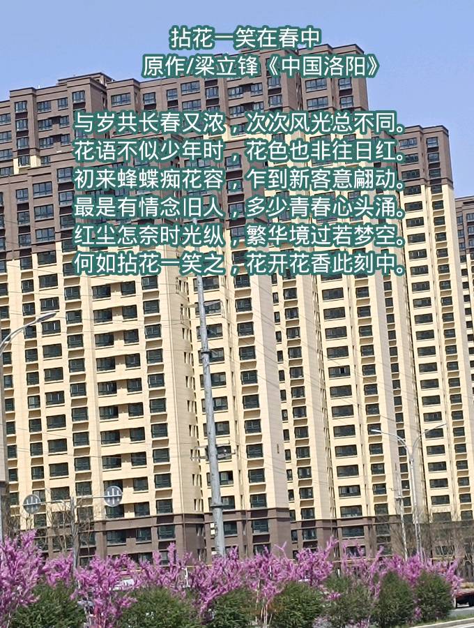 拈花一笑在春中 原作/梁立锋（图7）