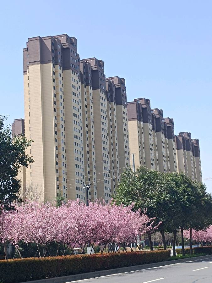 拈花一笑在春中 原作/梁立锋（图11）