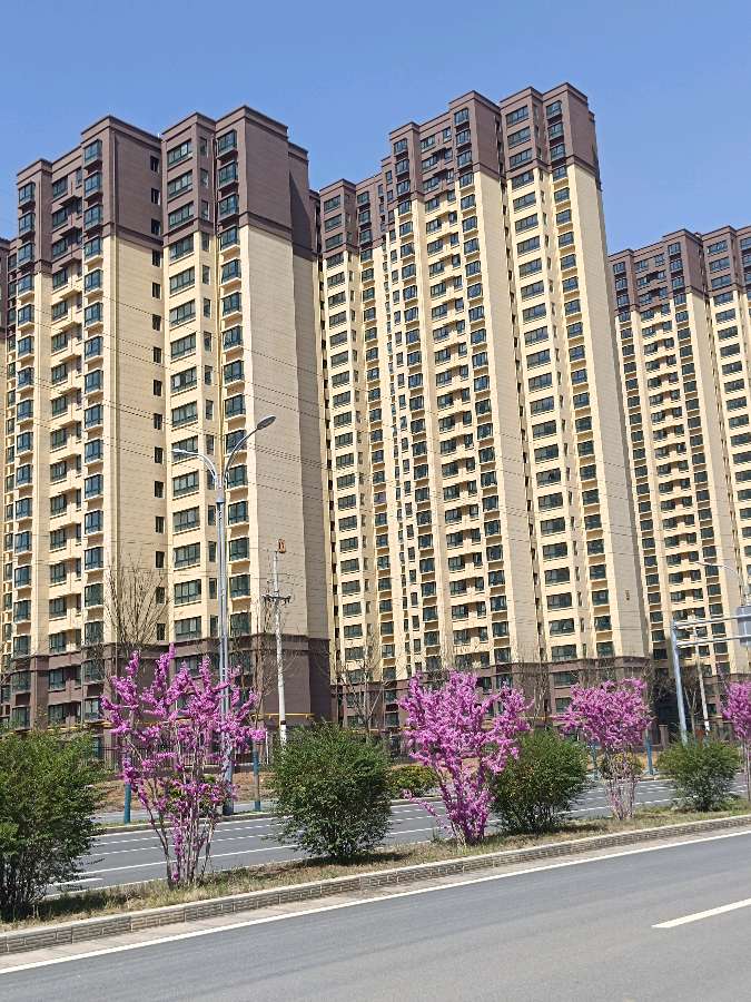 拈花一笑在春中 原作/梁立锋（图18）