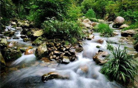 【新山东文学社】《泉柳沟》作者/崖山翁 主播/天空(图5)
