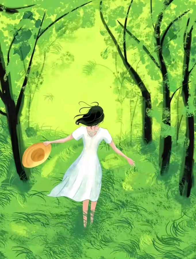 岸芷汀兰文学社第27期(图36)