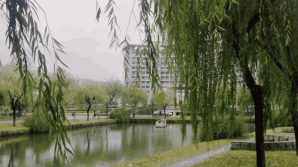 【蓝天白云诗社】2024年第10期//编辑：冷雨（图6）