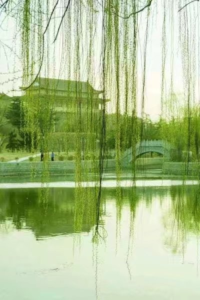 求人不如求己 人会不如己会(文/孙述考)/携起手来共同擘画全民共享健康福祉的美丽画卷(文/王保江)……莲叶之珠文学社(图5)