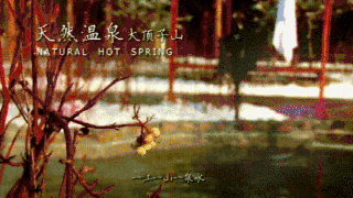 《春天的邀请》作者:佚名。朗读者:理鸣，园园。[中国现代诗歌文化传媒]（图10）