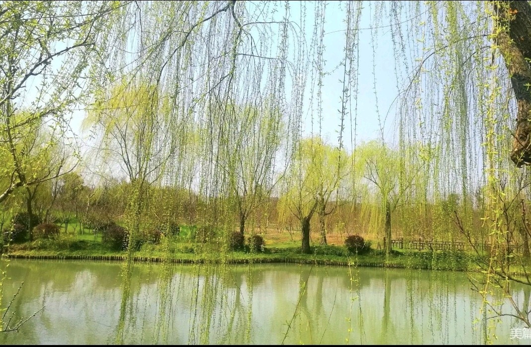 【中国长江文学社】有声文学平台《春光》作者王学志/主播治新/编辑天娇/【第8249期】（图7）