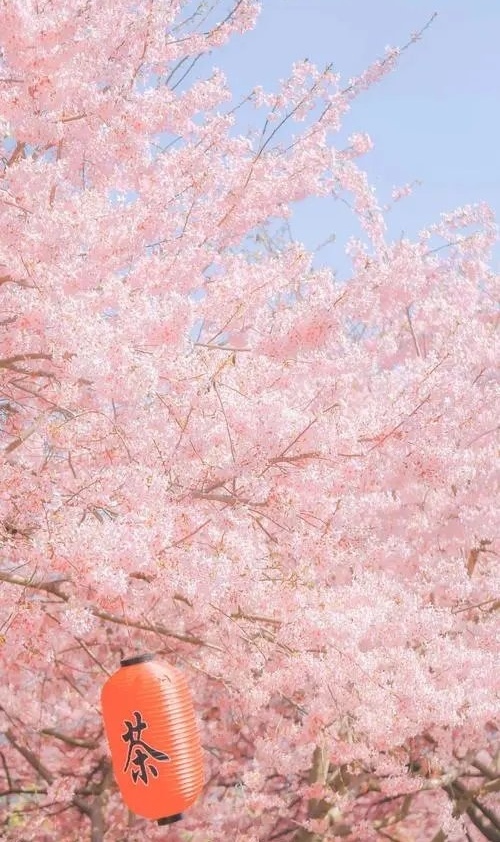 樱花吟怀(外二首)诗||于兴庆(图9)