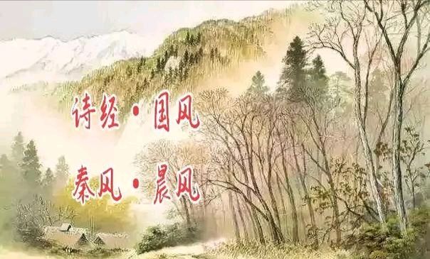 诗经版：《晨风》诗经部部长董杰｜诗经部编委韩爱华（图2）