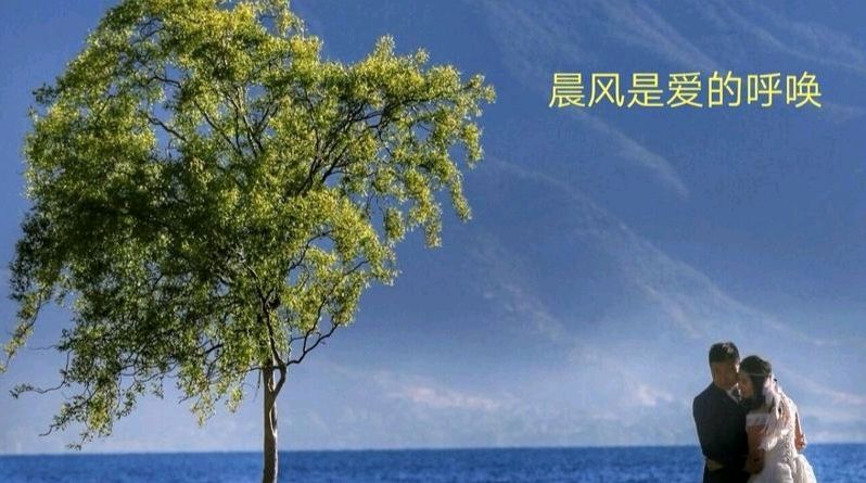 诗经版：《晨风》诗经部部长董杰｜诗经部编委韩爱华（图5）