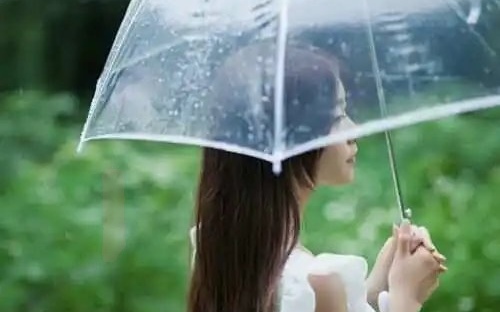 如梦令-春雨（组合）词||李振林（图14）