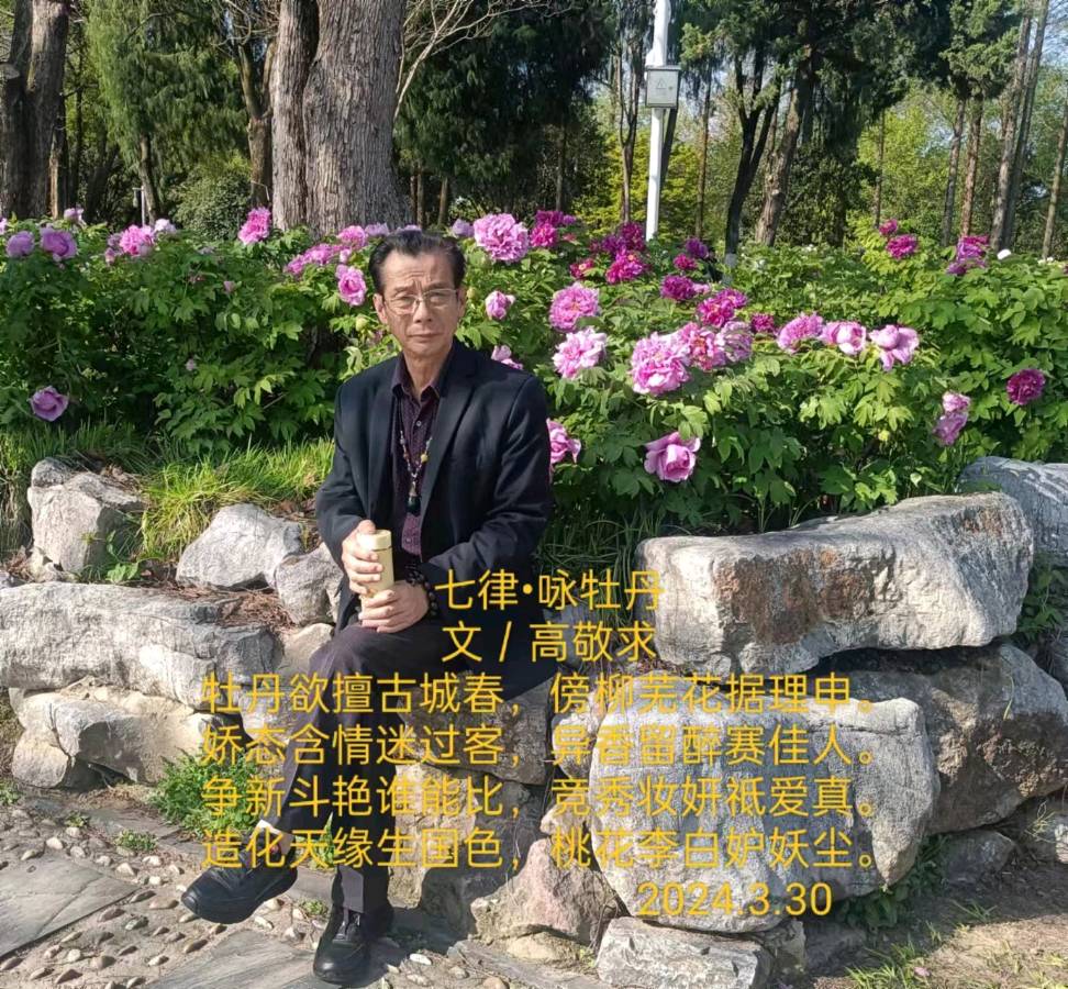 【荣耀中国】七律•咏牡丹文／高敬求（安庆）（图3）
