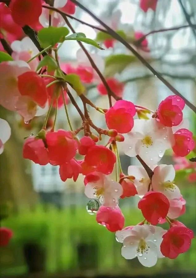 【名家风采】 三月（外三首）//文：郭红涛//《华夏诗词》征稿//都市头条（图4）