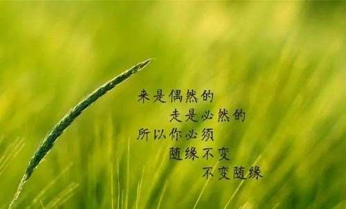 人生～诗||李耀文（图13）