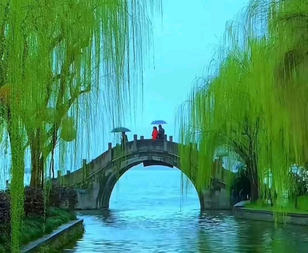 【上海头条】诗生活‖古韵飘香 120 期：每周题图（图2）