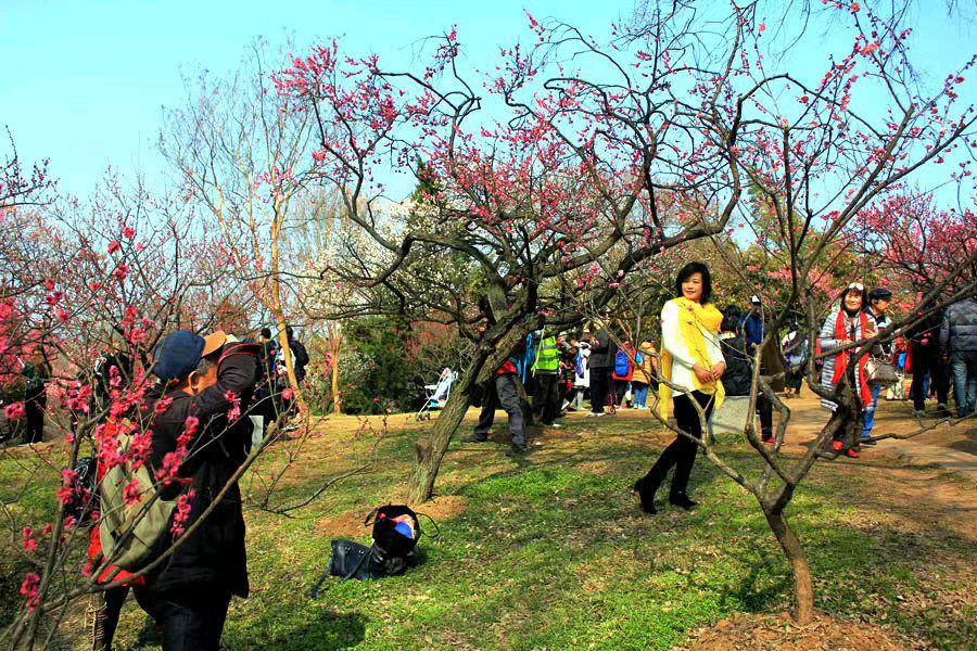 【上海头条】诗生活‖古韵飘香 120 期：每周题图（图16）