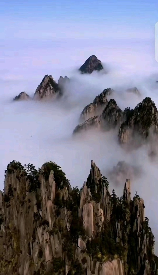 【自由体】《夜独酌》文/杨子钦（图3）
