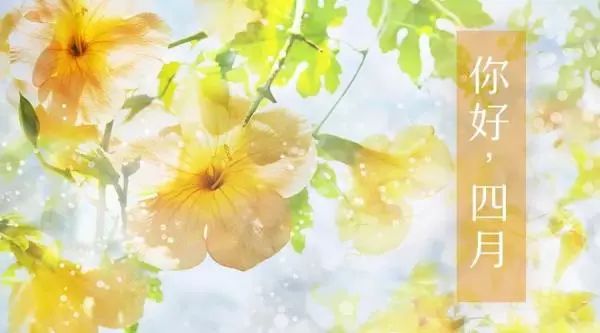 藏头诗:四月你好 文/王俊杰(天津)（图4）