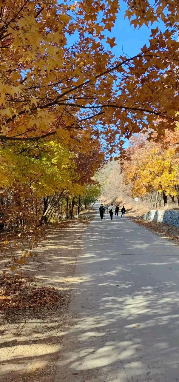 寻觅春天(四)(图4)