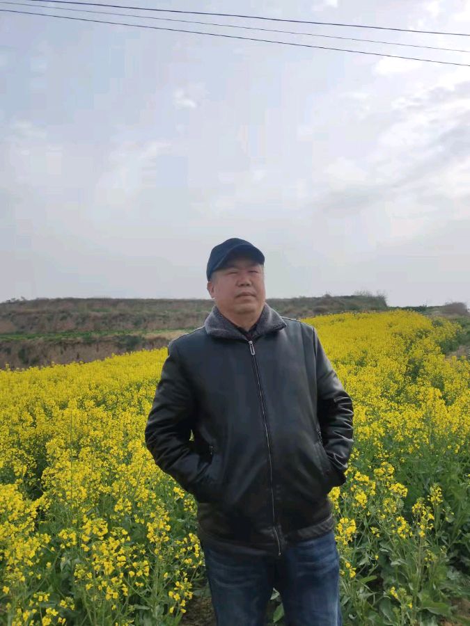 又到清明祭祖时(图6)