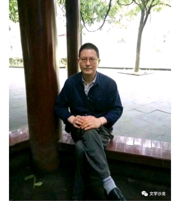 半山云（图3）