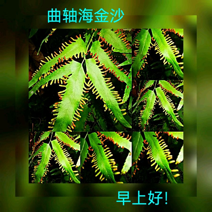 联机全球发布马洪武作品欣赏（图125）