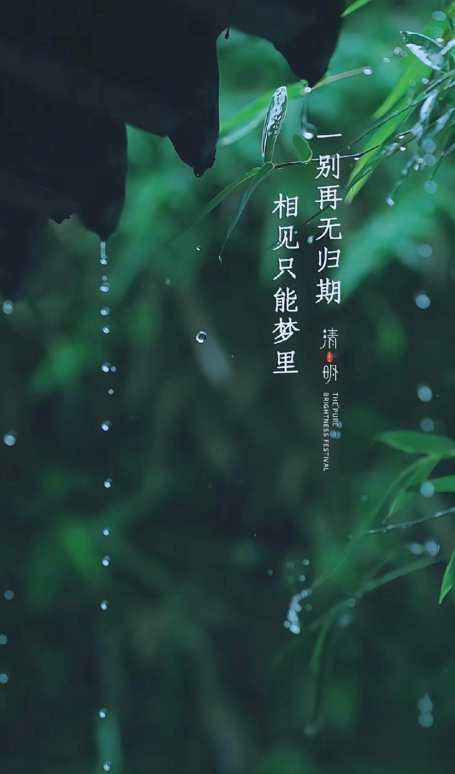 清明祭（外一首）诗||孙丙辉（图14）