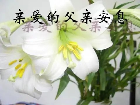 忆秦娥-苍天阴(组合)词||李振林(图14)
