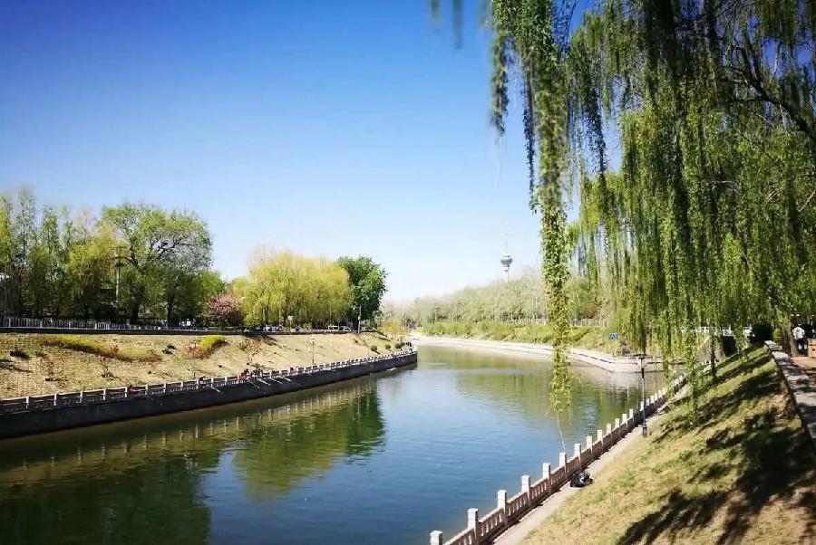 七律-春行（外二首）诗||马文智（图14）