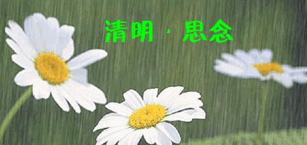 【蓝天白云诗社】2024年第10期//编辑：冷雨（图24）