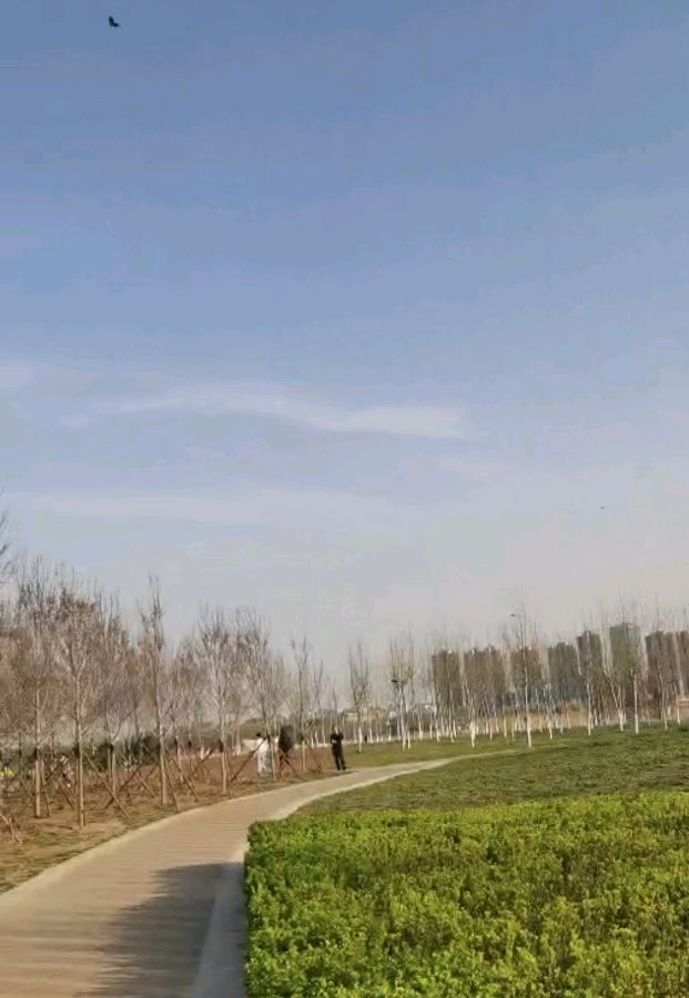 【荣耀中国】永恒的爱文/程宝玉（图8）