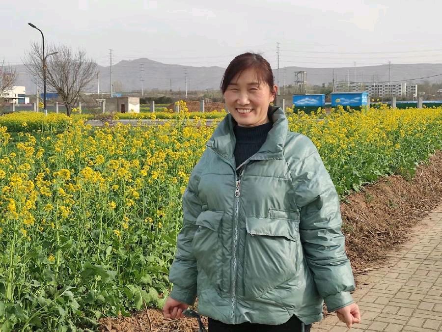今新调 万安山下油菜花田 原作/梁立锋（图11）