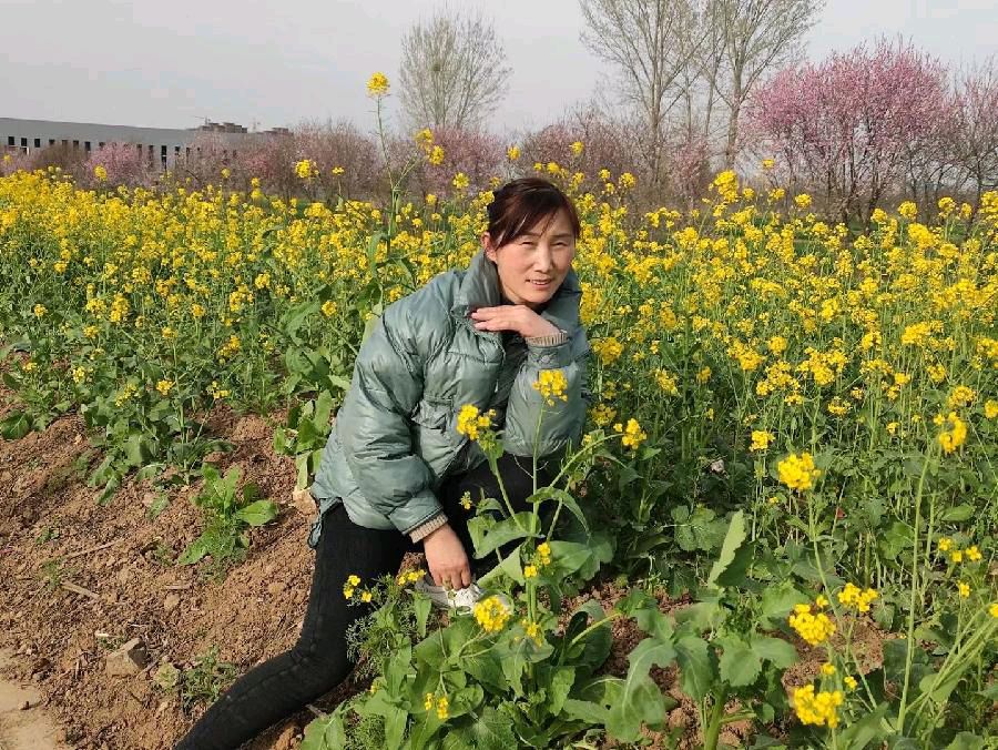 今新调 万安山下油菜花田 原作/梁立锋（图3）