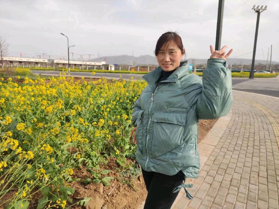 今新调 万安山下油菜花田 原作/梁立锋（图8）