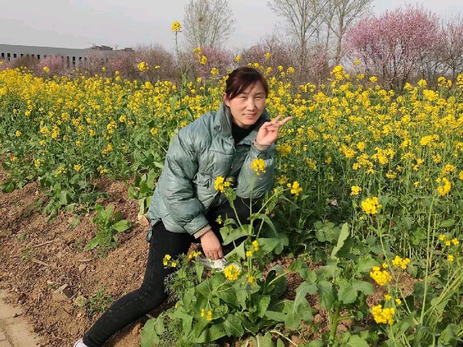 今新调 万安山下油菜花田 原作/梁立锋（图2）