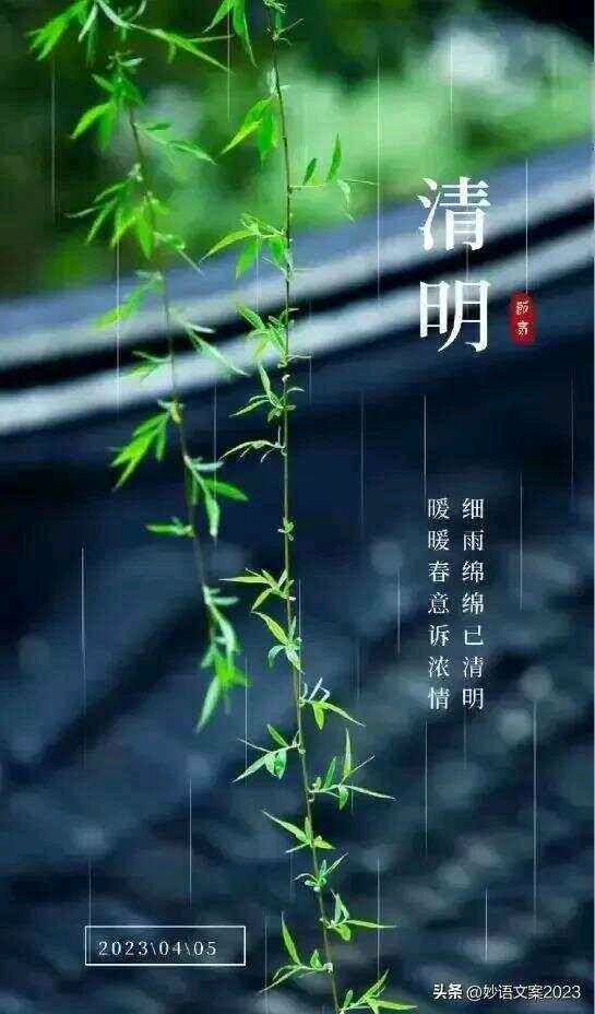 眼里一道明媚的春光 ‖ 作者/朝晖 朗诵/弘华（图7）