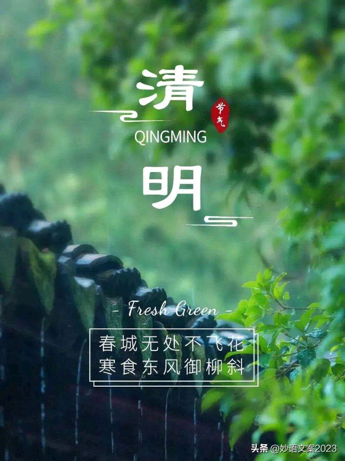 眼里一道明媚的春光 ‖ 作者/朝晖 朗诵/弘华（图4）