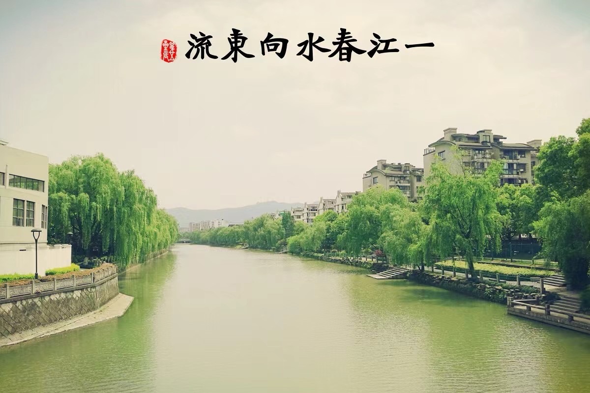 等你春风里，相约《春之声》作者：神马（深圳）朗诵：山谷幽兰（北京）【四合院诗刊】世界诗人名人展10890期（图3）