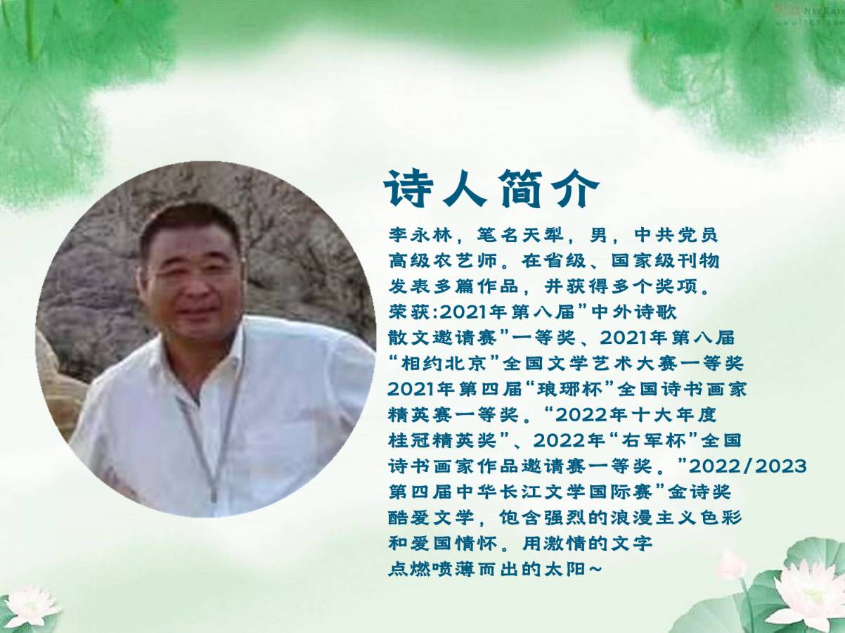 大漠胡杨 ‖ 作者/天犁 朗诵/王家明（图2）
