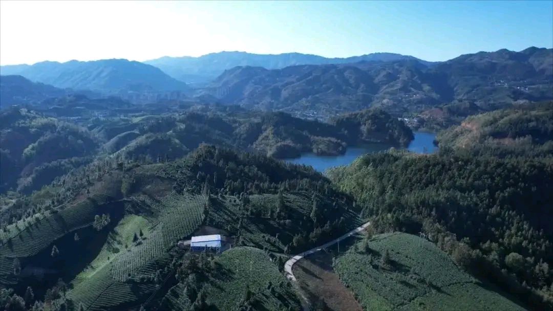 《七律现代古诗赏析》作者：刘文波。配乐：手机剪映合成《七律配音》。[中国现代诗歌文化传媒]（图8）