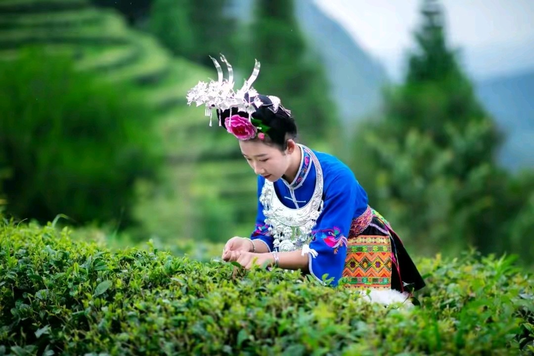 《七律现代古诗赏析》作者：刘文波。配乐：手机剪映合成《七律配音》。[中国现代诗歌文化传媒]（图10）