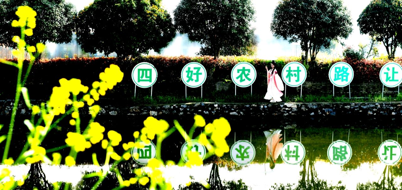 湖北武穴市高垴村：弹好美丽“四重奏”奏，谱写乡村振兴新乐章