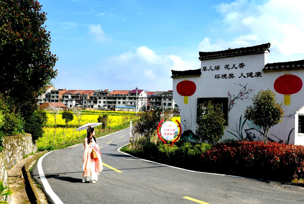 湖北武穴市高垴村：弹好美丽“四重奏”奏，谱写乡村振兴新乐章（图4）